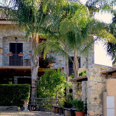 Villa Basilio Accommodation 里卡迪 外观 照片