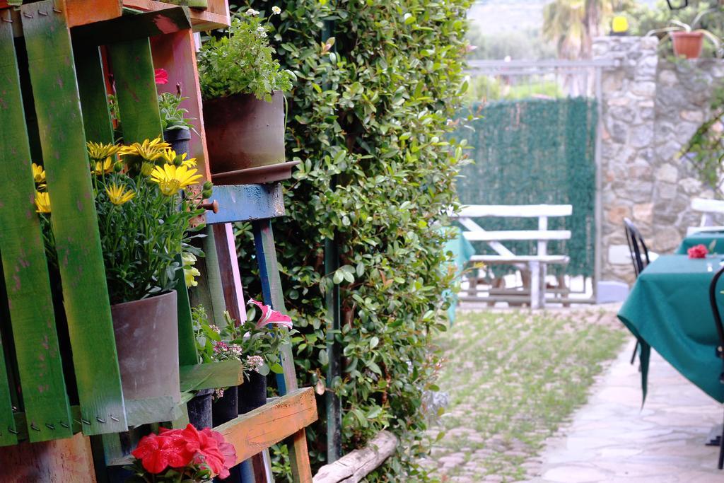 Villa Basilio Accommodation 里卡迪 外观 照片